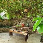 Jedro بيتريتْشاني