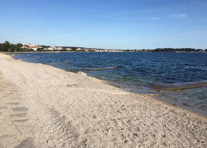 Jedro * 돈제페트레케인