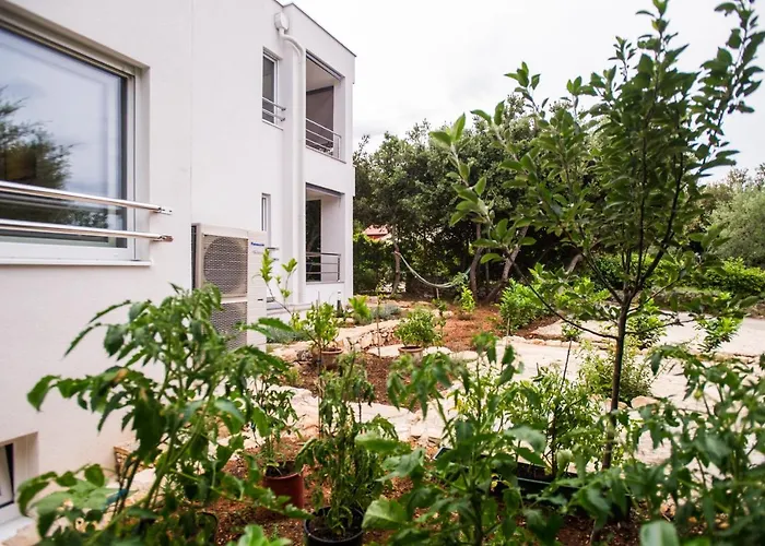 Jedro 돈제페트레케인