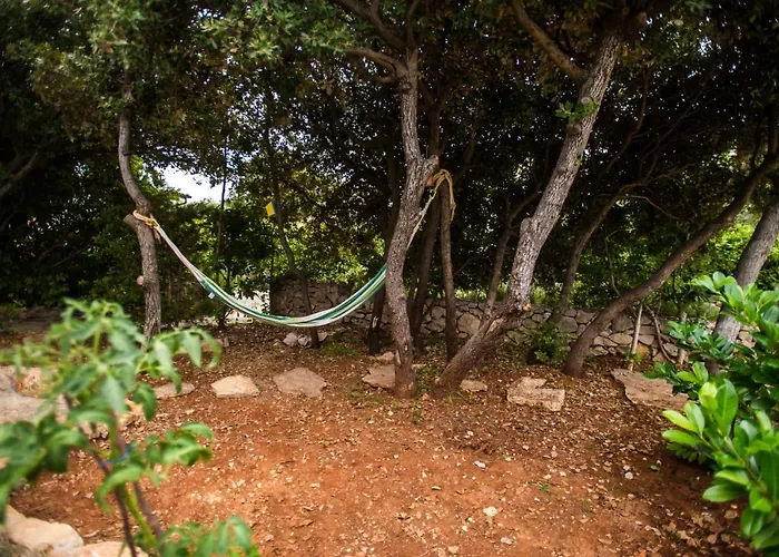 Jedro 돈제페트레케인