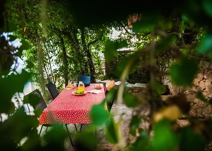 Jedro 아파트 돈제페트레케인