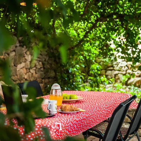 Jedro Apartment Petrcane