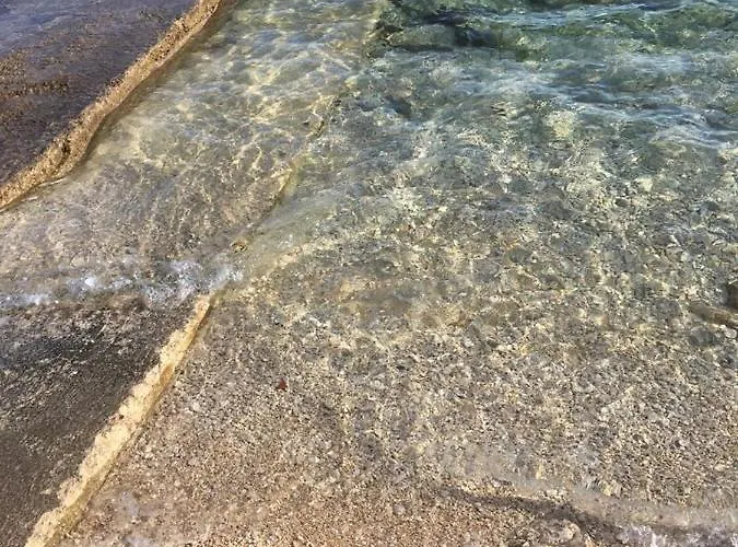 Jedro * Петрчане