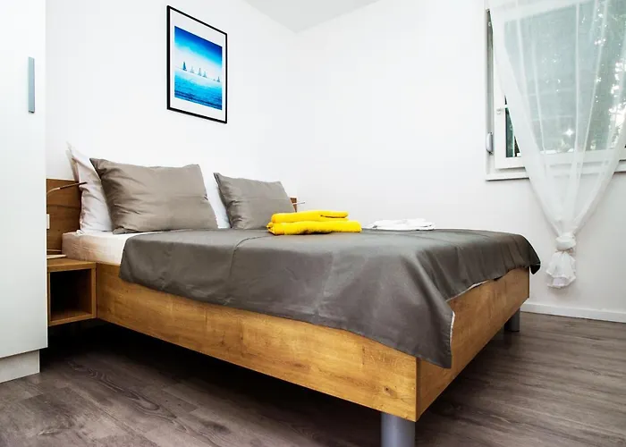 Jedro * Петрчане